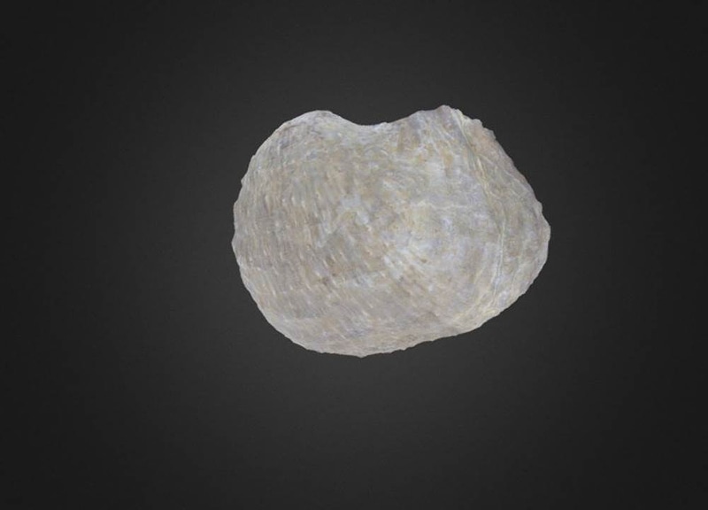 Thumb 9