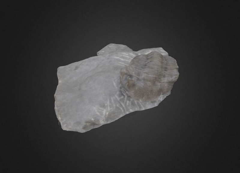 Thumb 1