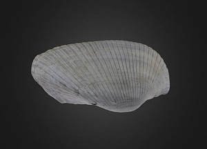 image_processing20200609-22952-ajr2rc.jpeg