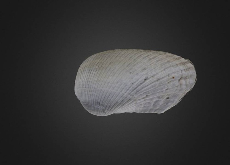 Thumb 9