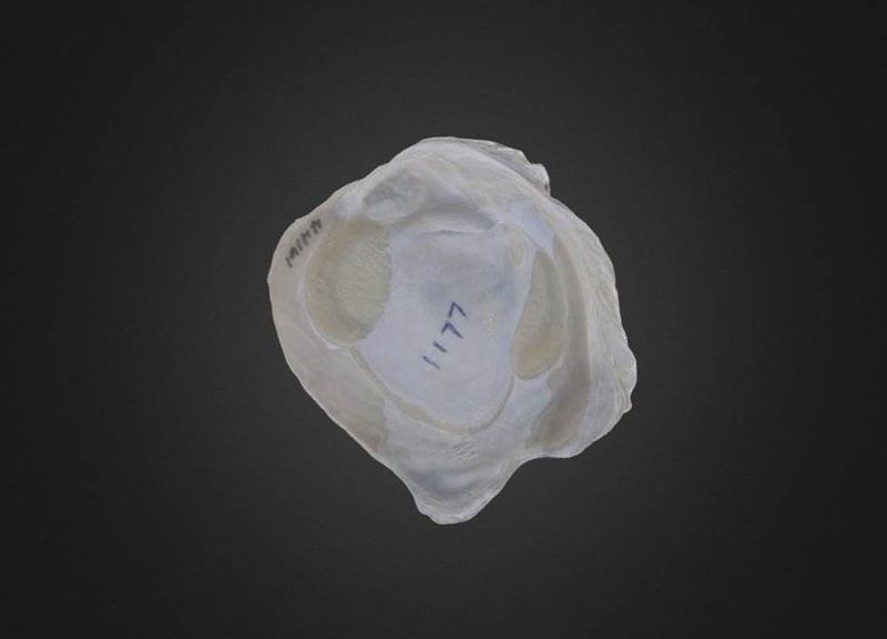 Thumb 9