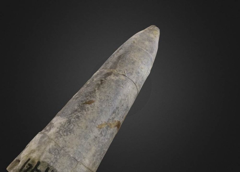 Thumb 12