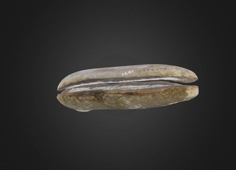 Thumb 1