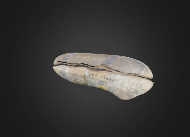 Thumb 9