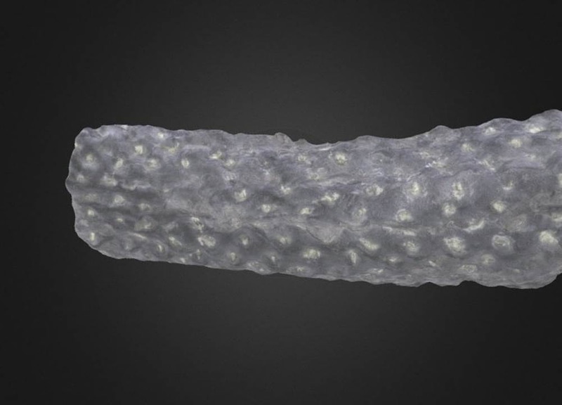 Thumb 1