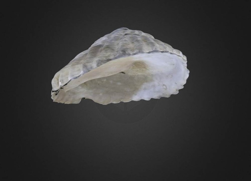 Thumb 7