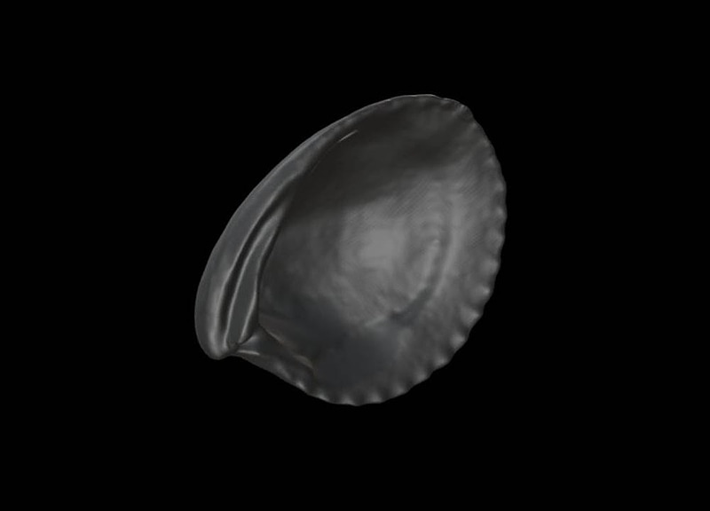 Thumb 14