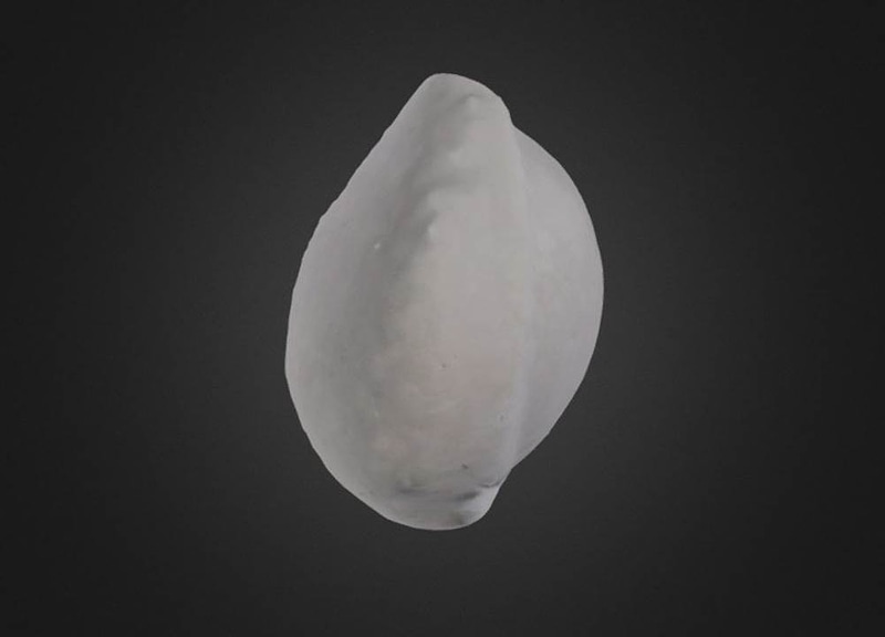 Thumb 8