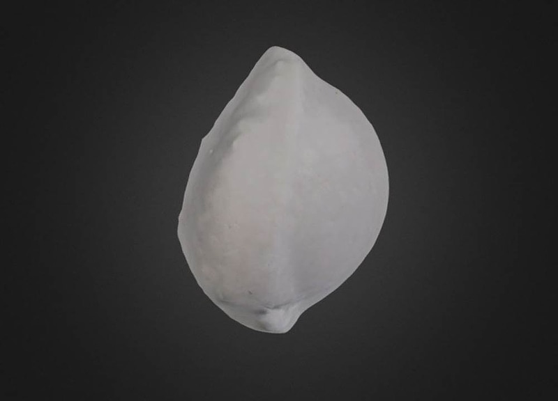 Thumb 9