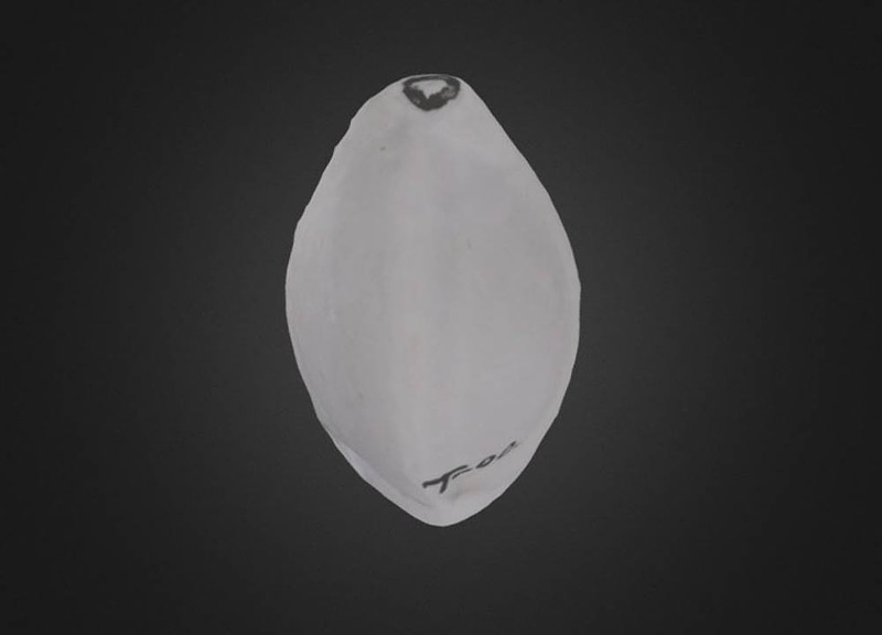 Thumb 13