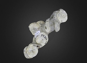 image_processing20200609-22952-ijfp3d.jpeg