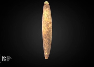 image_processing20200609-25017-tjylhe.jpeg