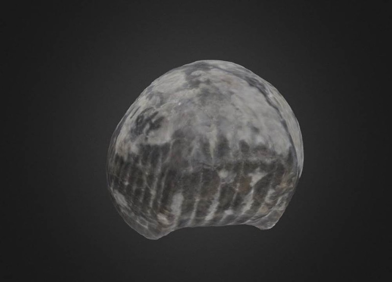 Thumb 1