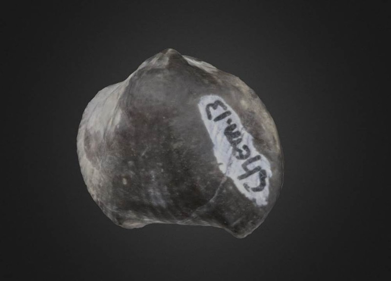 Thumb 10