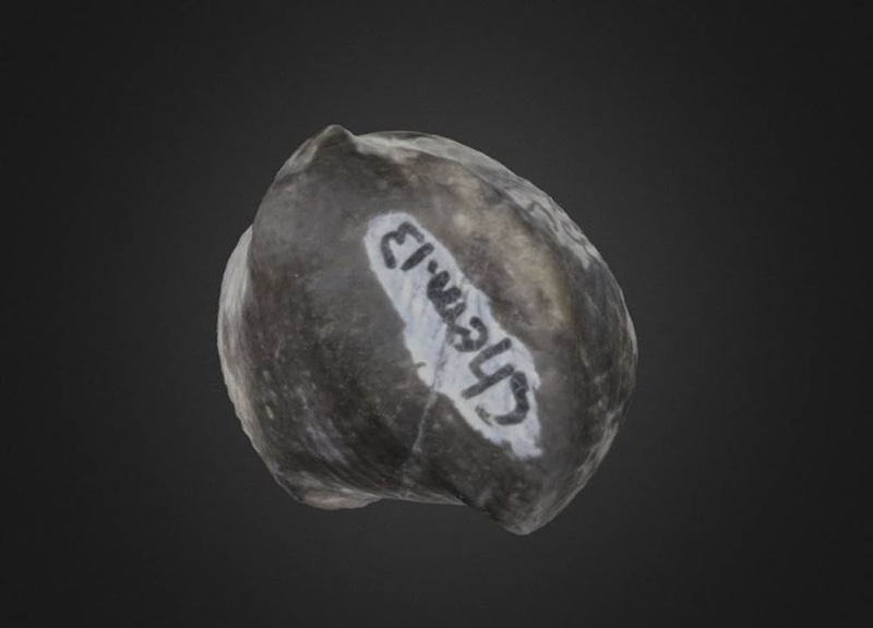 Thumb 11