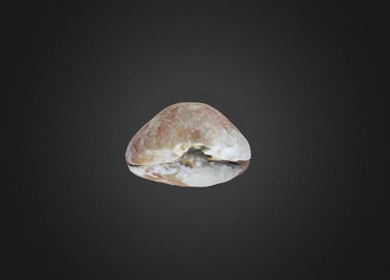 Thumb 6