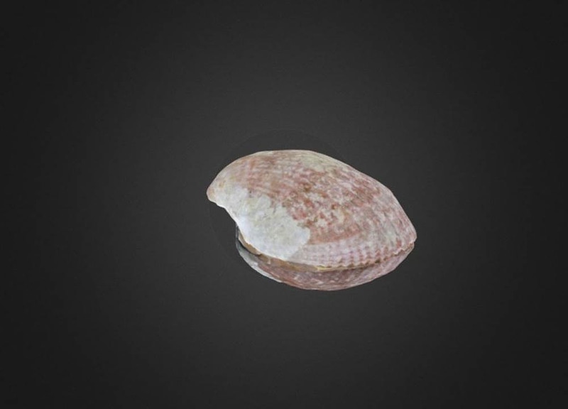 Thumb 10