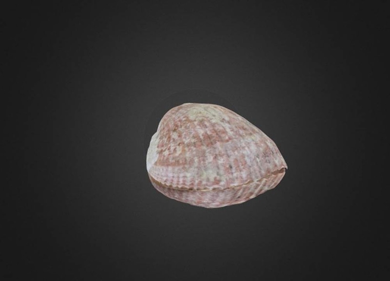 Thumb 12