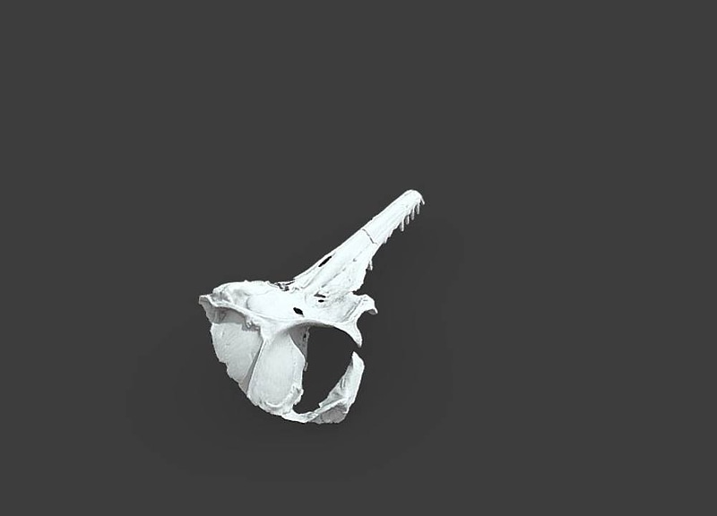 Thumb 11