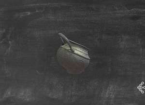 image_processing20200609-21935-1ee78qy.jpeg