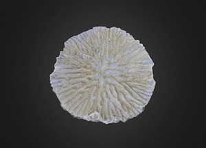 image_processing20200609-21935-1h007y6.jpeg