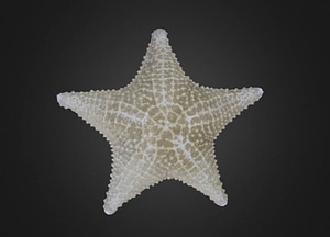image_processing20200609-24341-103s2nq.jpeg