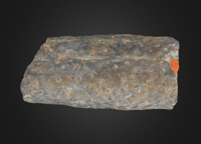 Thumb 1