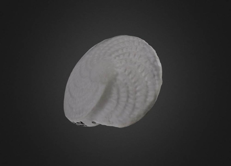 Thumb 1