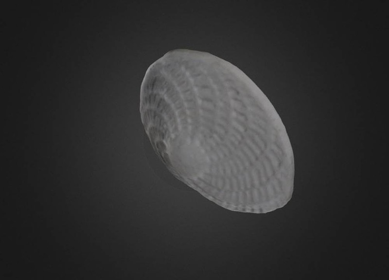 Thumb 9