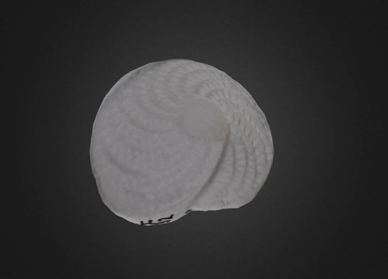 Thumb 14