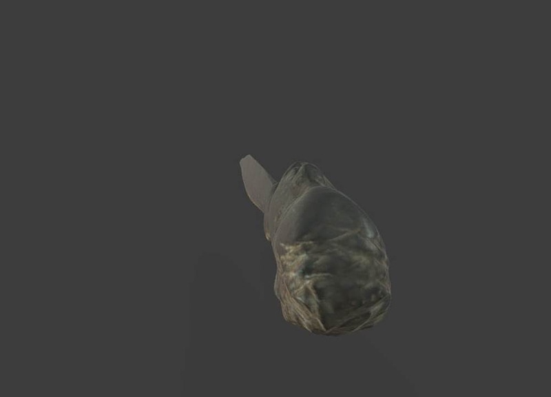 Thumb 11