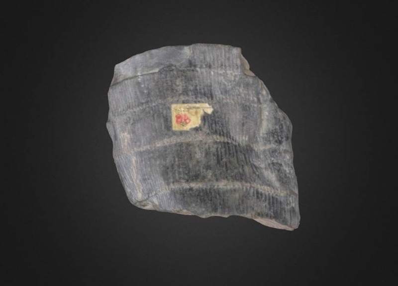 Thumb 9