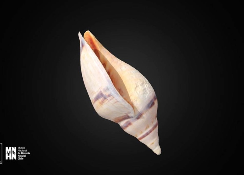 Thumb 10