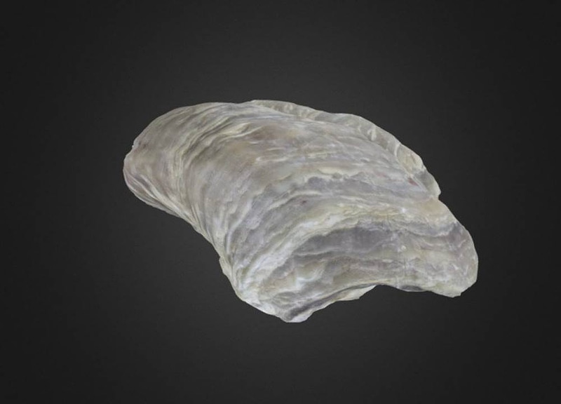 Thumb 8