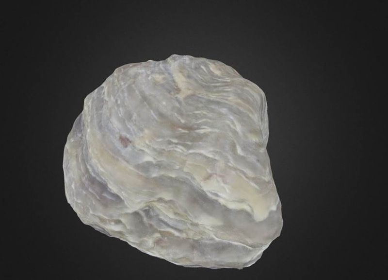 Thumb 12