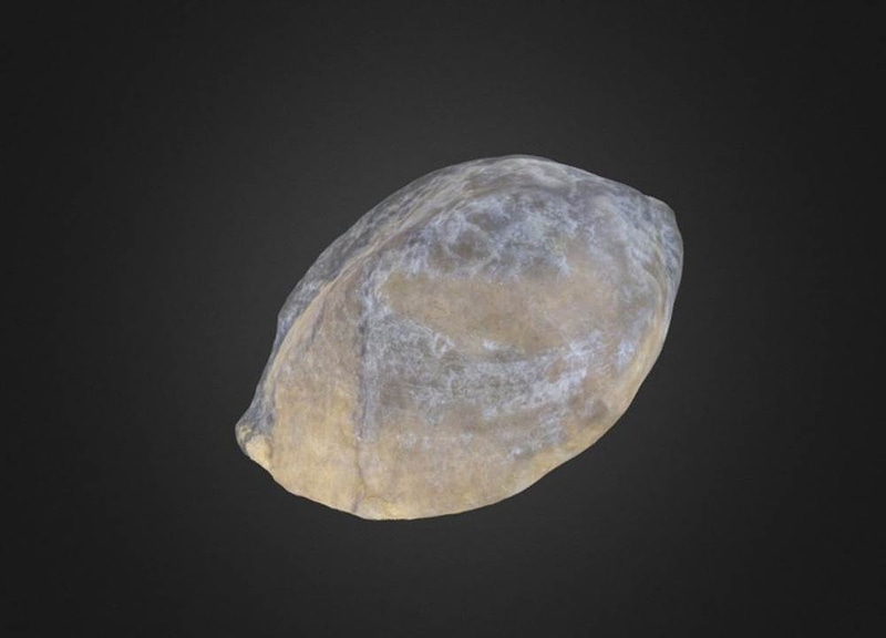Thumb 1