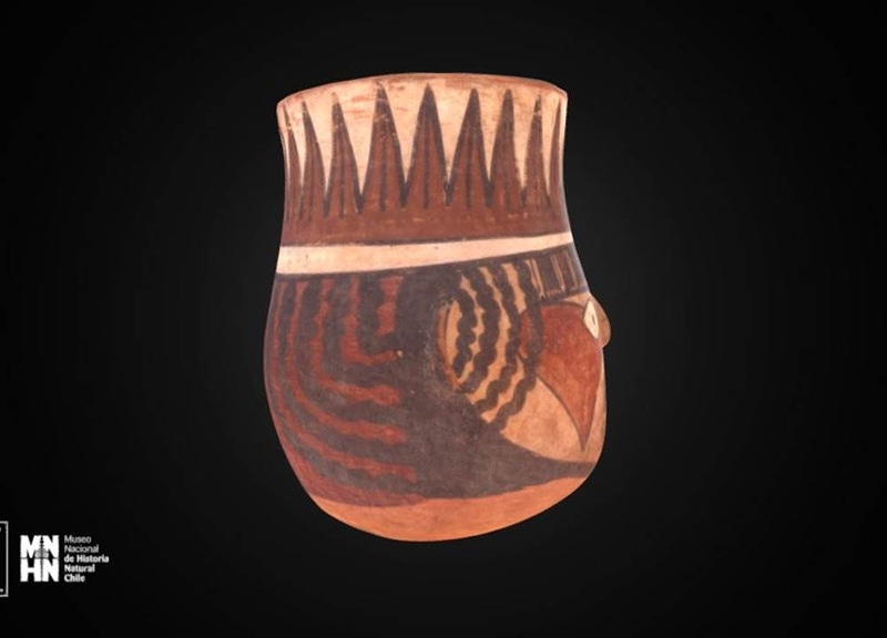 Thumb 11