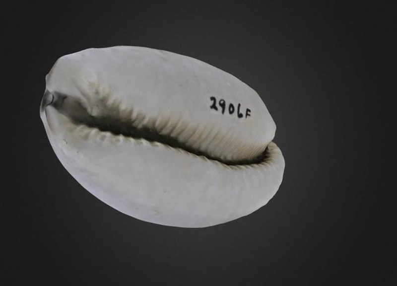 Thumb 12