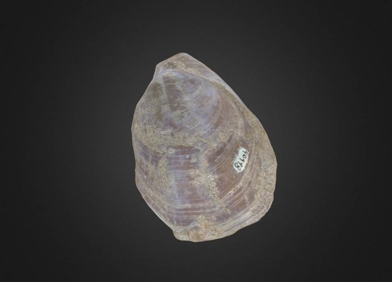 Thumb 1