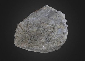 image_processing20200609-27601-hm08uc.jpeg
