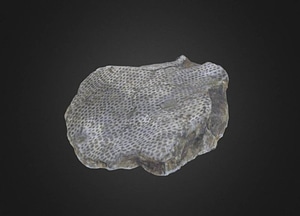 image_processing20200609-17013-ps4ro4.jpeg