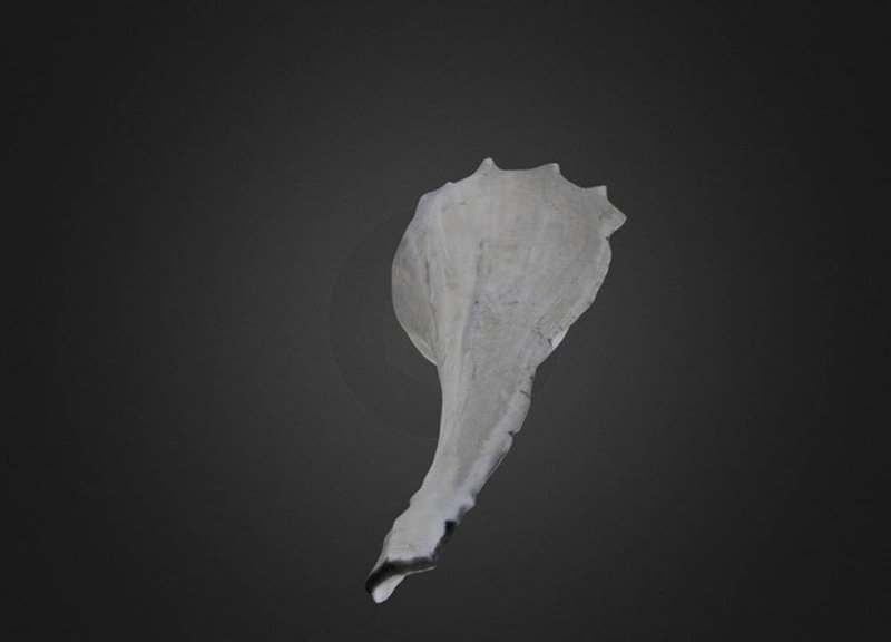 Thumb 11
