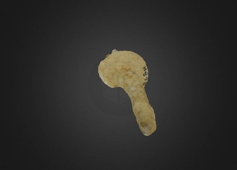 Thumb 12