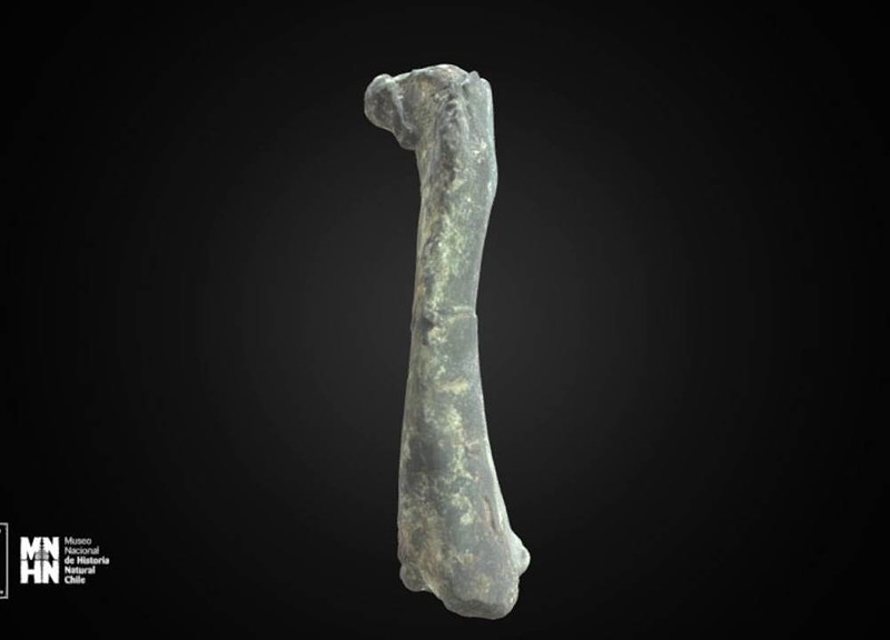Thumb 1