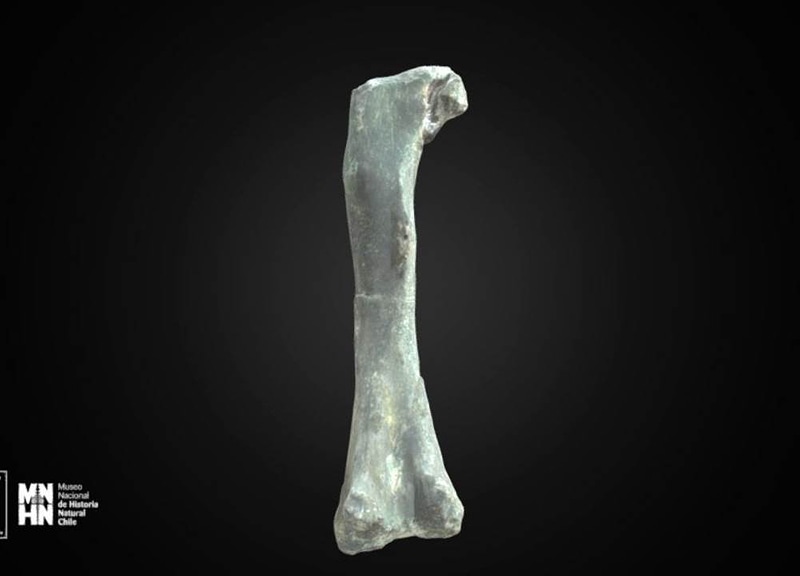 Thumb 7