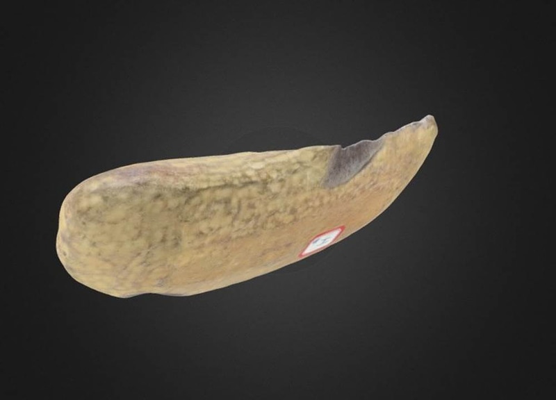 Thumb 6