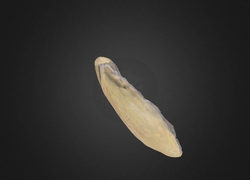 Thumb 11