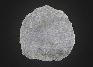 image_processing20200609-17013-1d63isf.jpeg