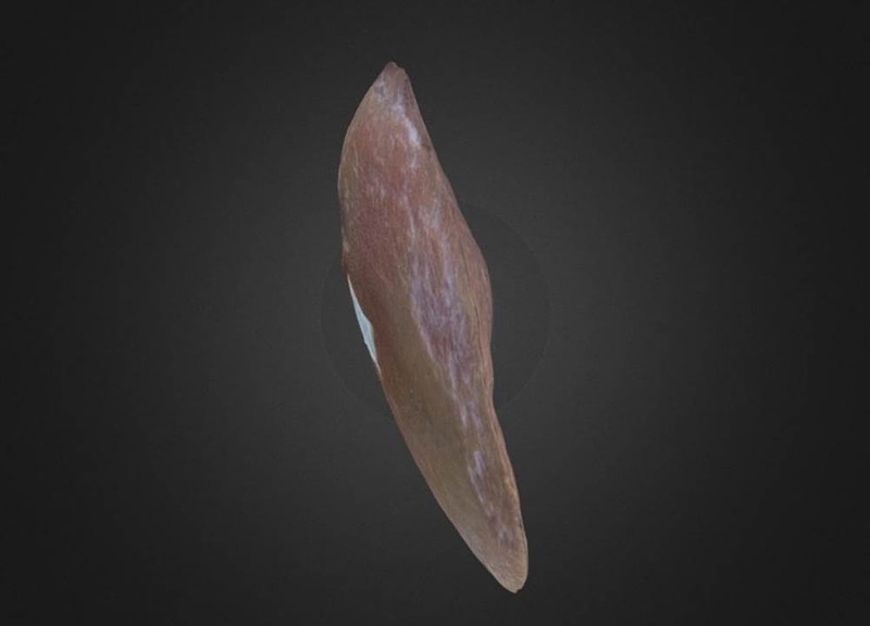 Thumb 11