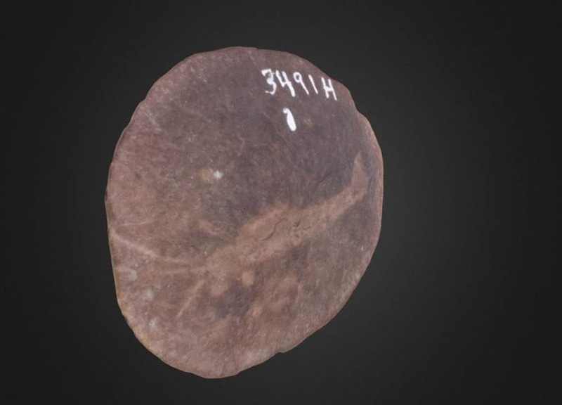 Thumb 13